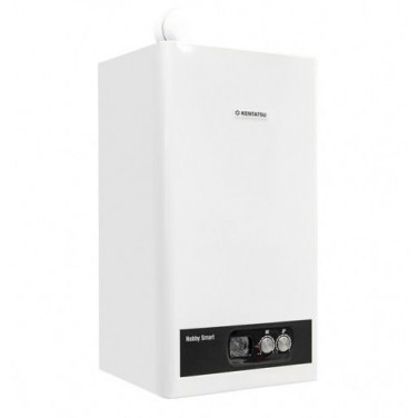 Настенный газовый котел Nobby Smart II 24-2CSF 